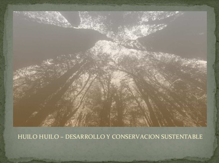 No hay una imagen disponible